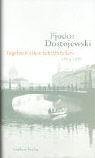 Tagebuch eines Schriftstellers 1873 und 1876-1881. Eine Auswahl.