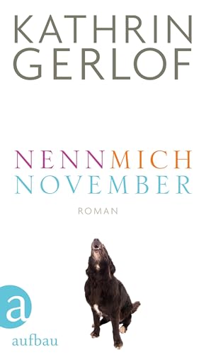 9783351037239: Nenn mich November: Roman