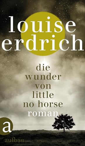 9783351037864: Die Wunder von Little No Horse: Roman