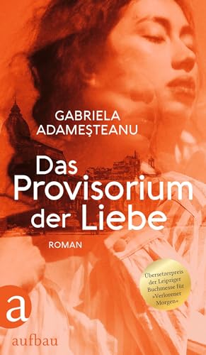 9783351038243: Das Provisorium der Liebe: Roman