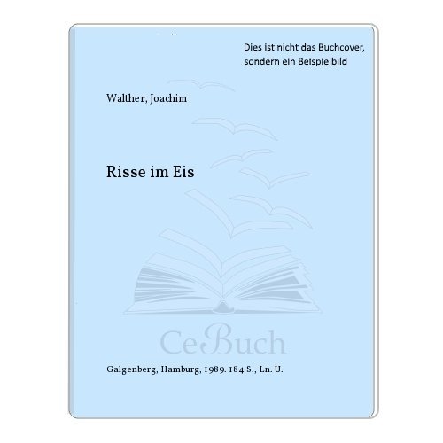 Risse im Eis - Walther, Joachim