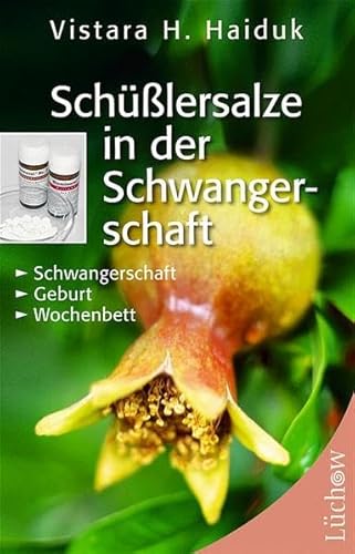 Beispielbild fr Schlersalze in der Schwangerschaft. Schwangerschaft, Geburt, Wochenbett zum Verkauf von medimops