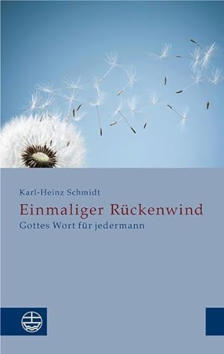 Stock image for Einmaliger R|ckenwind for sale by ISD LLC