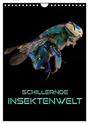 Imagen de archivo de Iridescent insect world (Wall Calendar 2024 DIN A4 Portrait), CALVENDO 12 Month Wall Calendar a la venta por GF Books, Inc.