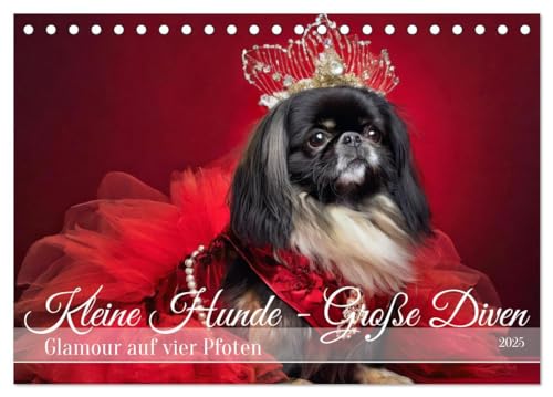 Imagen de archivo de Kleine Hunde - Groe Diven (Tischkalender 2025 DIN A5 quer), CALVENDO Monatskalender : Kleine Hunde werden zu glamoursen Stars a la venta por AHA-BUCH GmbH