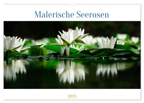 Stock image for Malerische Seerosen (Wandkalender 2025 DIN A2 quer), CALVENDO Monatskalender : Malerische, schne Seerosen in freier Natur for sale by AHA-BUCH GmbH