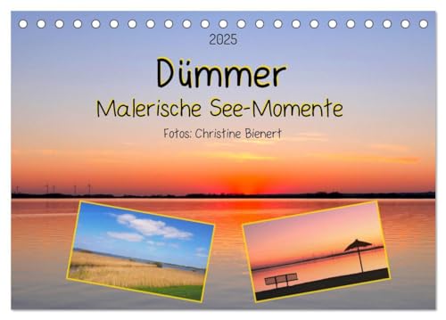 Beispielbild fr Dmmer, Malerische See-Momente (Tischkalender 2025 DIN A5 quer), CALVENDO Monatskalender : Einzigartige Momente am Dmmer See zum Verkauf von AHA-BUCH GmbH