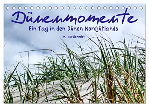 Stock image for Dnenmomente - Ein Tag in den Dnen Nordjtlands (Tischkalender 2025 DIN A5 quer), CALVENDO Monatskalender : Geformt von Wind, Sand und dem Meer sind Dnen eine einzigartige Erlebniswelt! for sale by AHA-BUCH GmbH