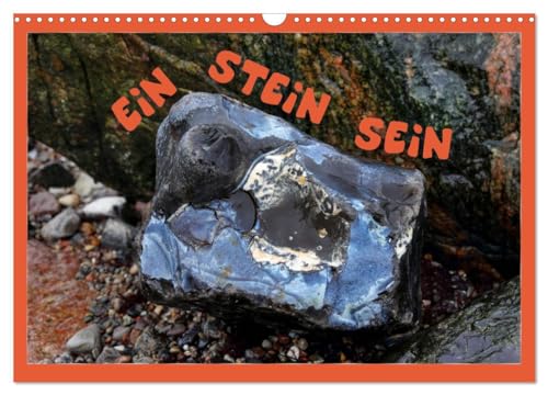 Beispielbild fr EIN STEIN SEIN (Wandkalender 2025 DIN A3 quer), CALVENDO Monatskalender : Hier werden Steine an der Kste der Ostsee fotografisch kunstvoll in Szene gesetzt. zum Verkauf von AHA-BUCH GmbH