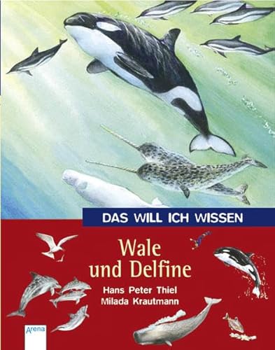 Stock image for Das will ich wissen. Wale und Delfine for sale by medimops