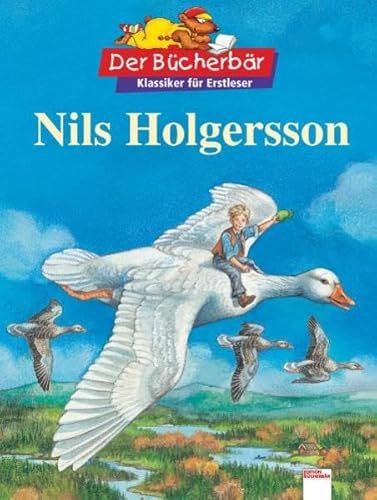 9783401081588: Nils Holgersson