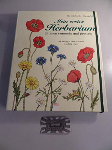 Imagen de archivo de Mein erstes Herbarium: Blumen sammeln und pressen a la venta por medimops