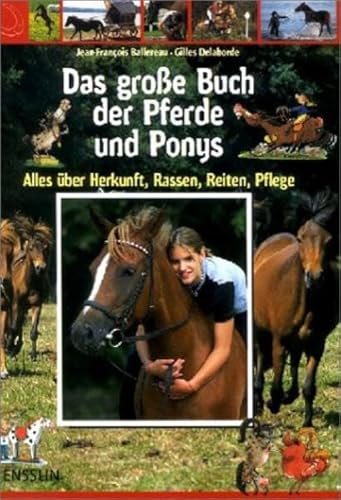 Stock image for Das groe Buch der Pferde und Ponys. Alles ber Herkunft, Rassen, Reiten, Pflege for sale by medimops