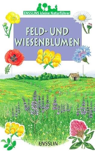 9783401451398: Ensslins kleine Naturfhrer. Feld- und Wiesenblumen. (Ab 9 J.).