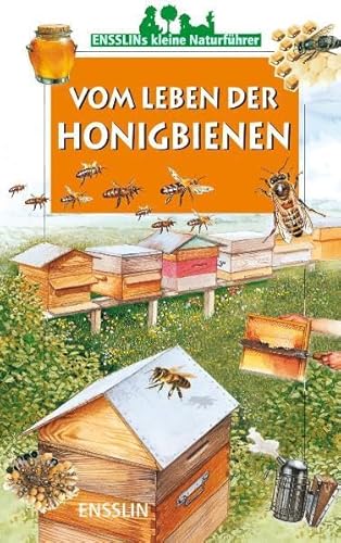 Beispielbild fr Ensslins Kleine Naturfhrer. Vom Leben der Honigbienen zum Verkauf von medimops