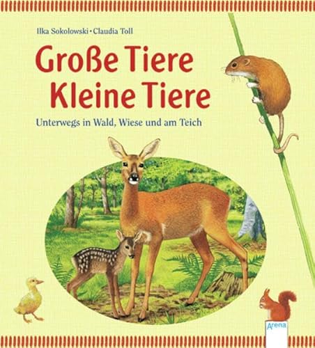 Beispielbild fr Groe Tiere - Kleine Tiere: Unterwegs in Wald, Wiese und am Teich zum Verkauf von medimops