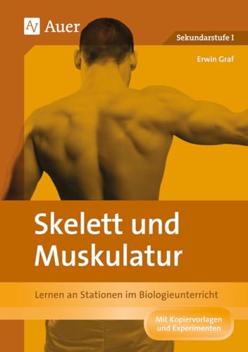 Stock image for Skelett und Muskulatur: Lernen an Stationen im Biologieunterricht (5. und 6. Klasse) for sale by medimops