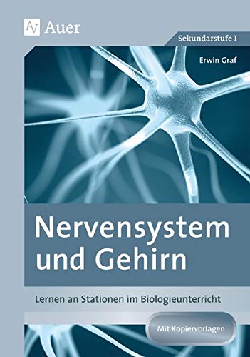 Stock image for Nervensystem und Gehirn -Language: german for sale by GreatBookPrices