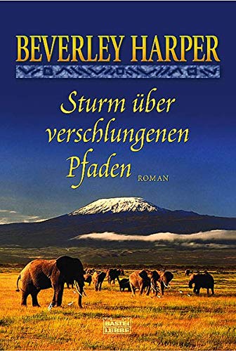 Stock image for Sturm ber verschlungenen Pfaden: Roman for sale by medimops