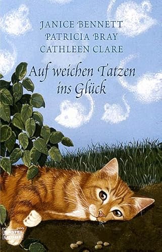 9783404152841: Auf weichen Tatzen ins Glck