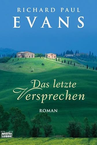 Stock image for Das letzte Versprechen (The Last Promise - German) for sale by Firefly Bookstore