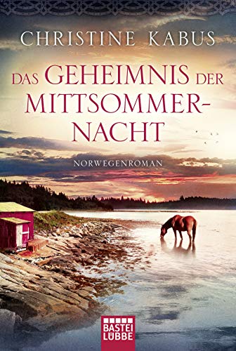 Stock image for Das Geheimnis der Mittsommernacht: Norwegenroman for sale by medimops