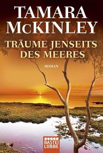 9783404270644: Trume jenseits des Meeres