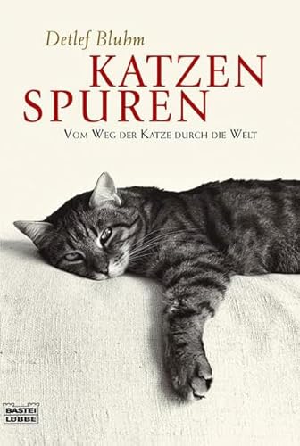 Katzenspuren : vom Weg der Katze durch die Welt. Bastei-Lübbe-Taschenbuch ; Bd. 60574 : Sachbuch - Bluhm, Detlef