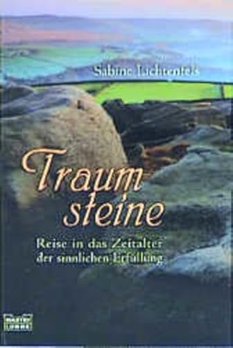 9783404701919: Traumsteine. Reise in das Zeitalter der sinnlichen Erfllung.