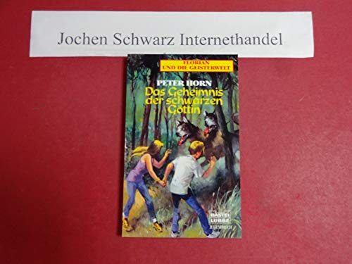 Imagen de archivo de Florian und die Geisterwelt. Das Geheimnis der schwarzen Gttin. a la venta por medimops