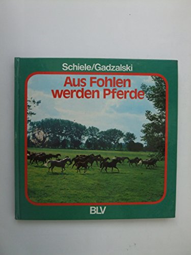 Stock image for Aus Fohlen werden Pferde for sale by medimops