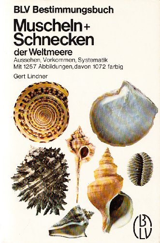 9783405112752: Muscheln + Schnecken der Weltmeere