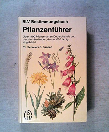 Stock image for Pflanzenfhrer : ber 1400 Pflanzenarten Deutschlands u.d. Nachbarlnder. for sale by medimops