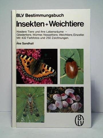 Stock image for Insekten + Weichtiere. Niedere Tiere und ihre Lebensrume - Gliedertiere, Weichtiere, Einzeller. for sale by Antiquariat Kai Gro