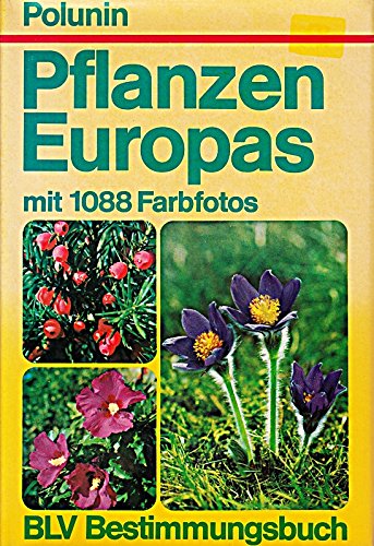 Beispielbild fr Pflanzen Europas zum Verkauf von medimops