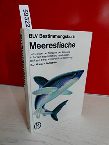 Stock image for Meeresfische. Der Ostsee, der Nordsee, des Atlantik for sale by medimops