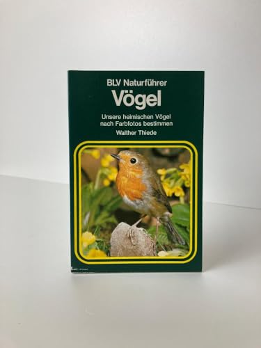 Stock image for Vgel (5509 815). Unsere heimischen Vgel nach Farbfotos bestimmen for sale by medimops