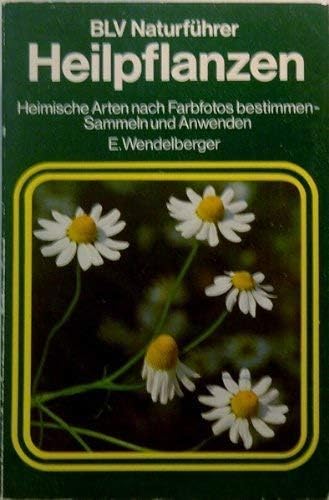 Heilpflanzen. (6263 186)