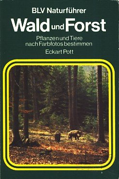 Wald und Forst. Pflanzen und Tiere nach Farbfotos bestimmen. BLV Naturführer