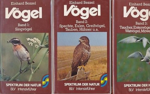 Singvögel. Band 1 [Zeichn.: Wilfried Weigel] / Bezzel, Einhard: Vögel ; 1; Spektrum der Natur; BLV-Intensivführer - Bezzel, Einhard