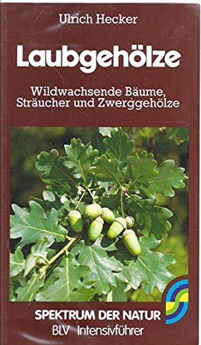 Laubgehölze. Wildwachsende Bäume, Sträucher und Zwerggehölze. - Unknown Author