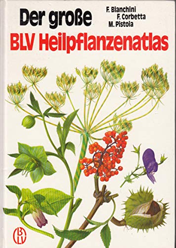 Beispielbild fr Der groe BLV Heilpflanzenatlas zum Verkauf von medimops