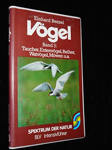 Imagen de archivo de Vgel III. Taucher, Entenvgel, Reiher, Watvgel, Mven u. a a la venta por medimops