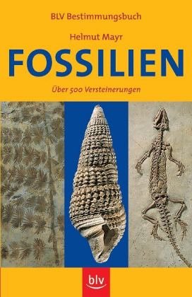 9783405129330: Fossilien. ber 500 Versteinerungen in Farbe