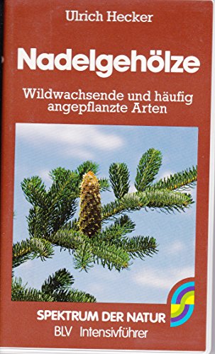 Nadelgehölze - Wildwachsende und häufig angepflanzte Arten - - HECKER, U.