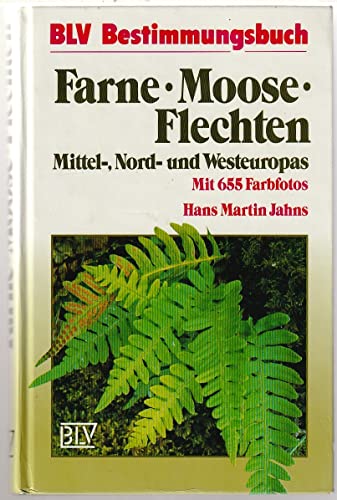 Farne, Moose, Flechten Mittel-, Nord- und Westeuropas. - Jahns, Hans Martin; Masselink, A. K.