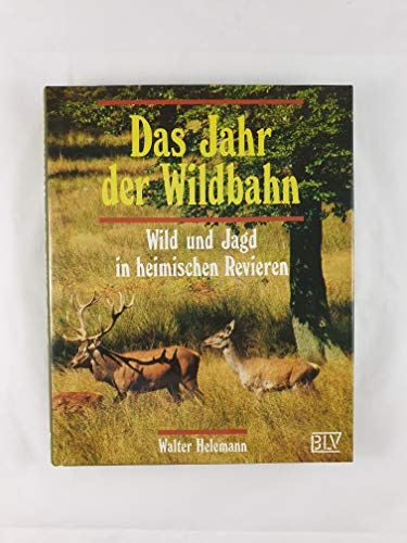 Das Jahr der Wildbahn - Wild und Jagd in heimischen Revieren