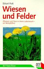 Stock image for Wiesen und Felder for sale by Versandantiquariat Felix Mcke