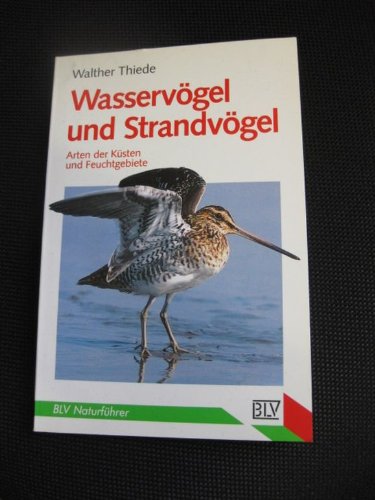 Wasservögel und Strandvögel, Arten der Küsten und Feuchtgebiete,