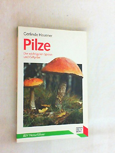 PILZE. die wichtigsten Speise- und Giftpilze - Hausner, Gerlinde